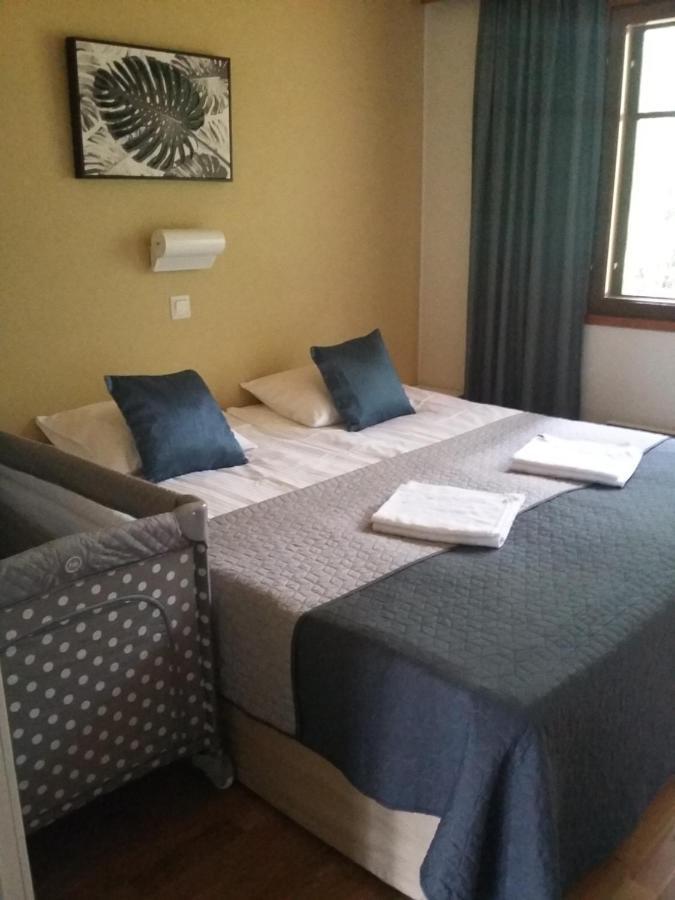 Saimaa Style Spa Chalet イマトラ エクステリア 写真